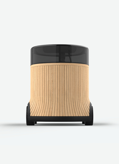 Wood-Car